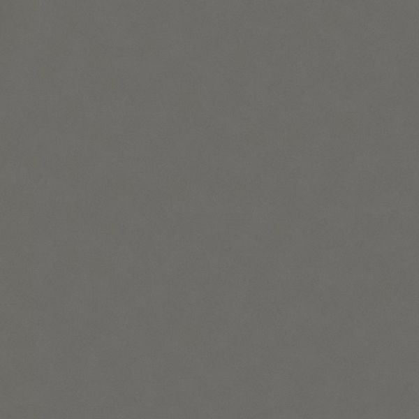 Gris Expo